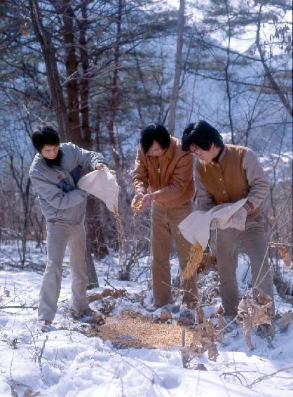 야생동물 의 사진