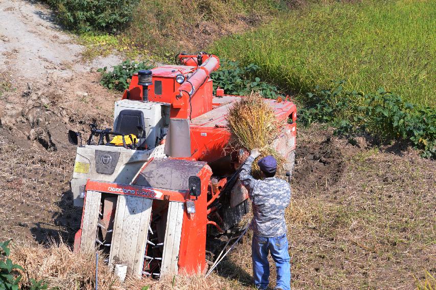2014 가을 전경 및 벼수확지원사업 의 사진