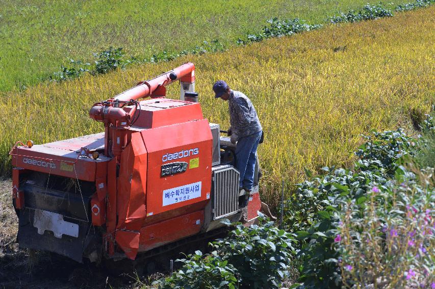 2014 가을 전경 및 벼수확지원사업 의 사진