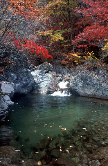 비수구미 의 사진