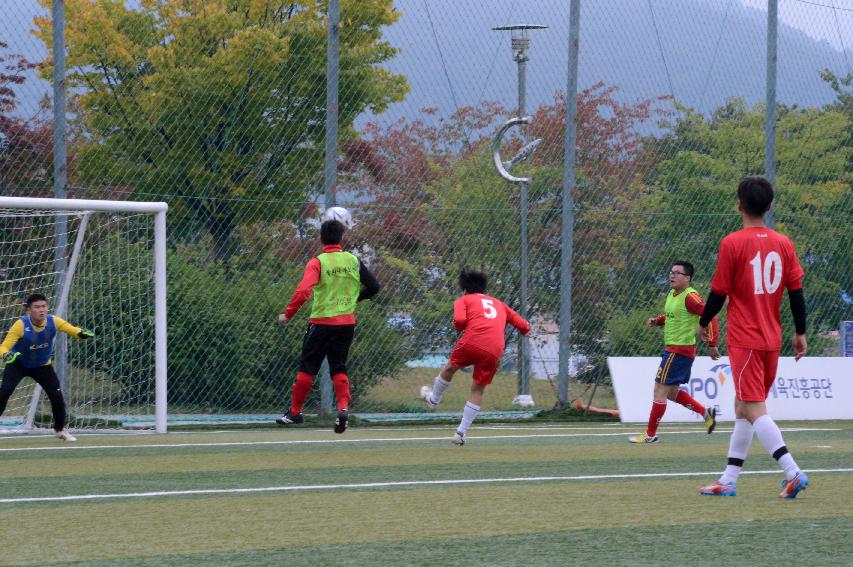 2014 제30회 용화축전 개회식 의 사진