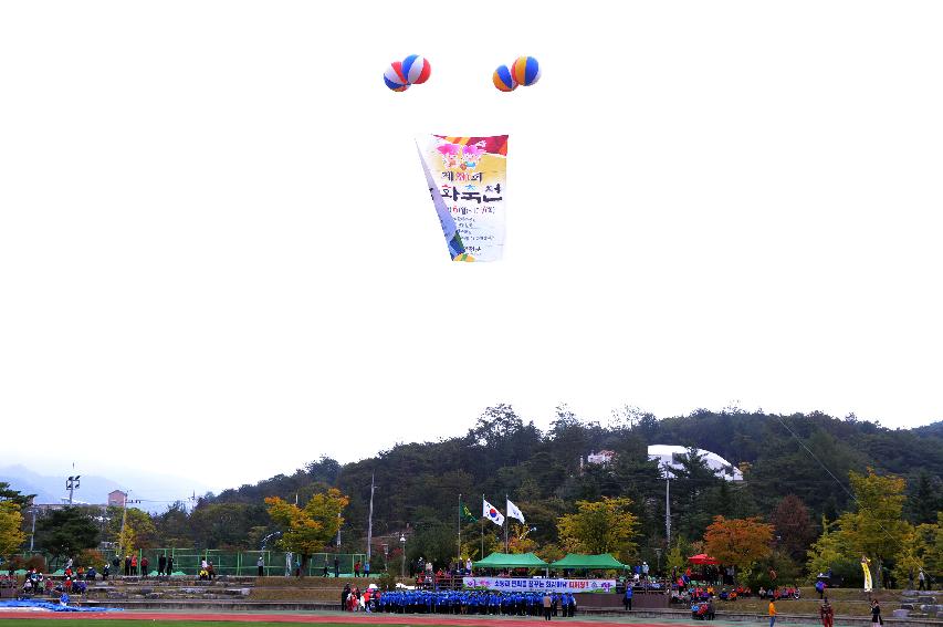 2014 제30회 용화축전 개회식 의 사진