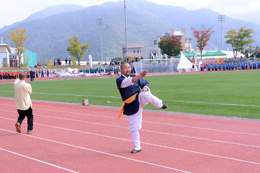 2014 제30회 용화축전 개회식 의 사진