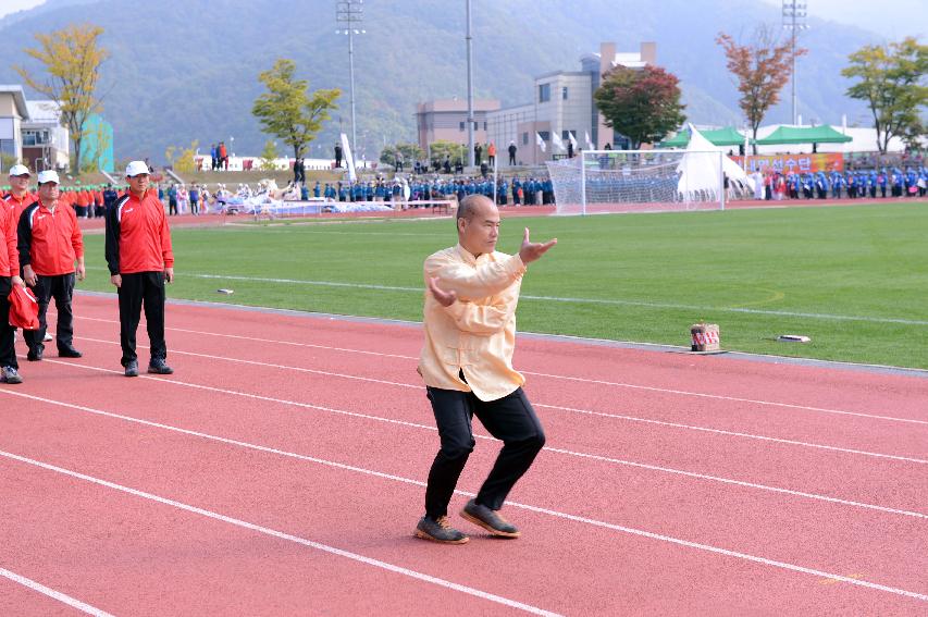 2014 제30회 용화축전 개회식 의 사진