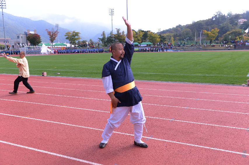 2014 제30회 용화축전 개회식 의 사진