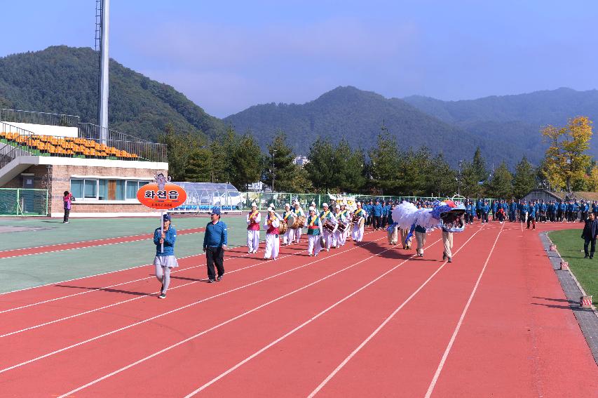 2014 제30회 용화축전 개회식 의 사진