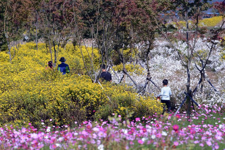 2014 하남면 거례리 수변공원 전경 의 사진