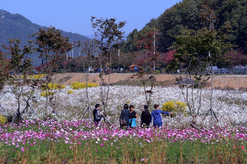 2014 하남면 거례리 수변공원 전경 의 사진