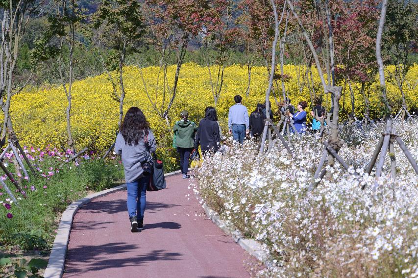 2014 하남면 거례리 수변공원 전경 의 사진