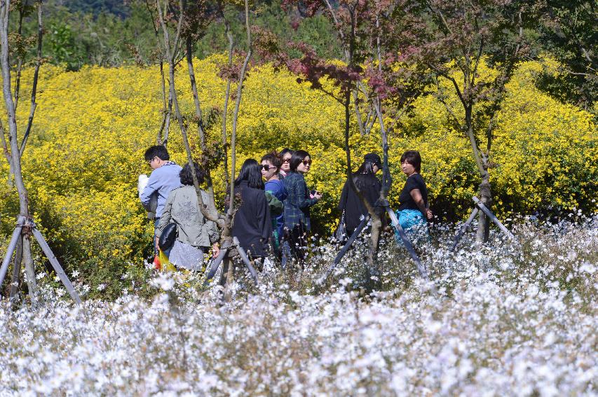 2014 하남면 거례리 수변공원 전경 의 사진