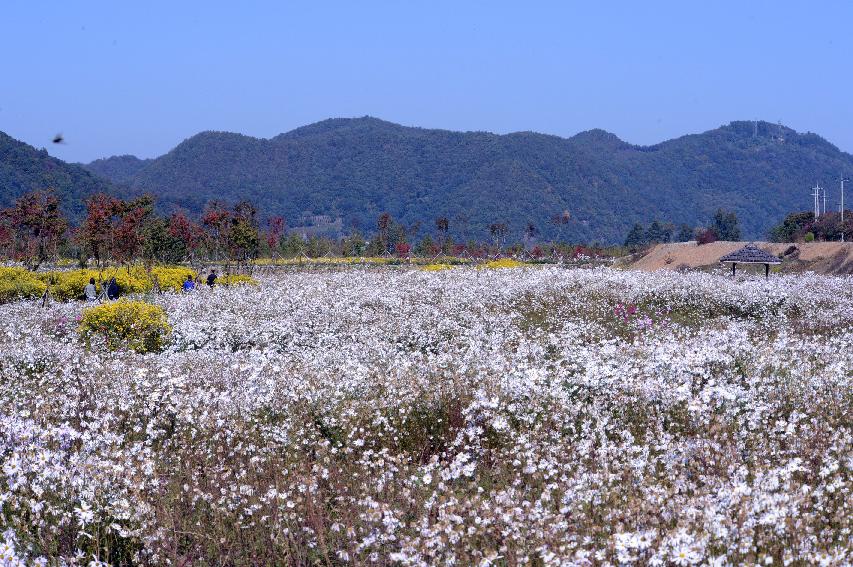 2014 하남면 거례리 수변공원 전경 의 사진