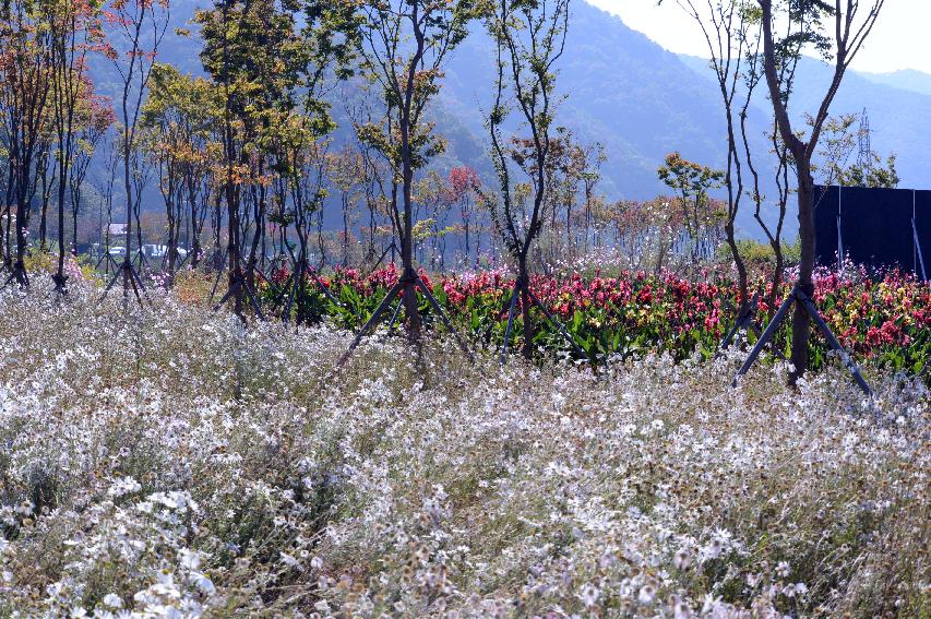 2014 하남면 거례리 수변공원 전경 의 사진