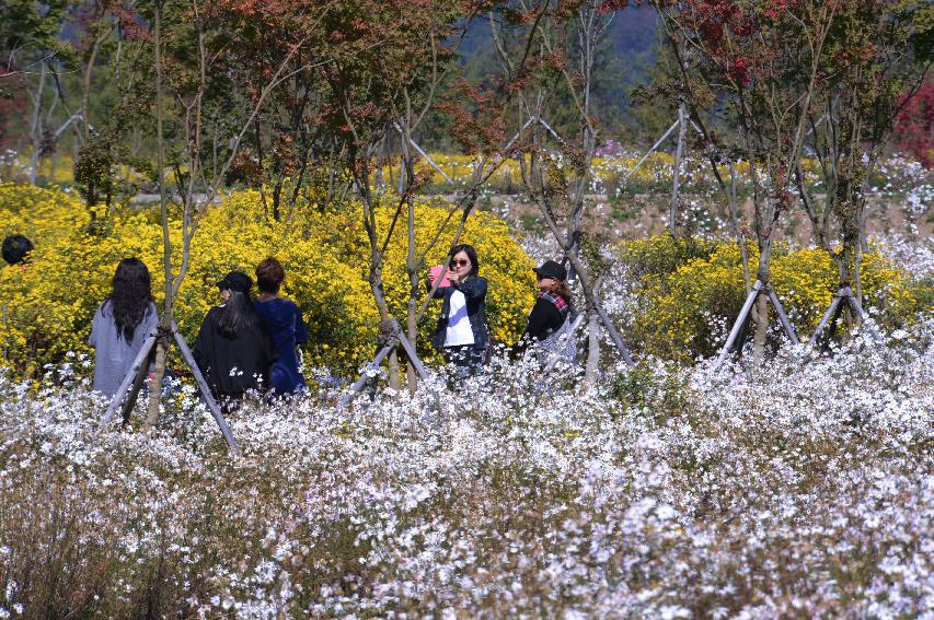 2014 하남면 거례리 수변공원 전경 의 사진