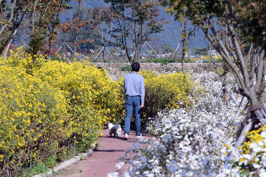 2014 하남면 거례리 수변공원 전경 의 사진