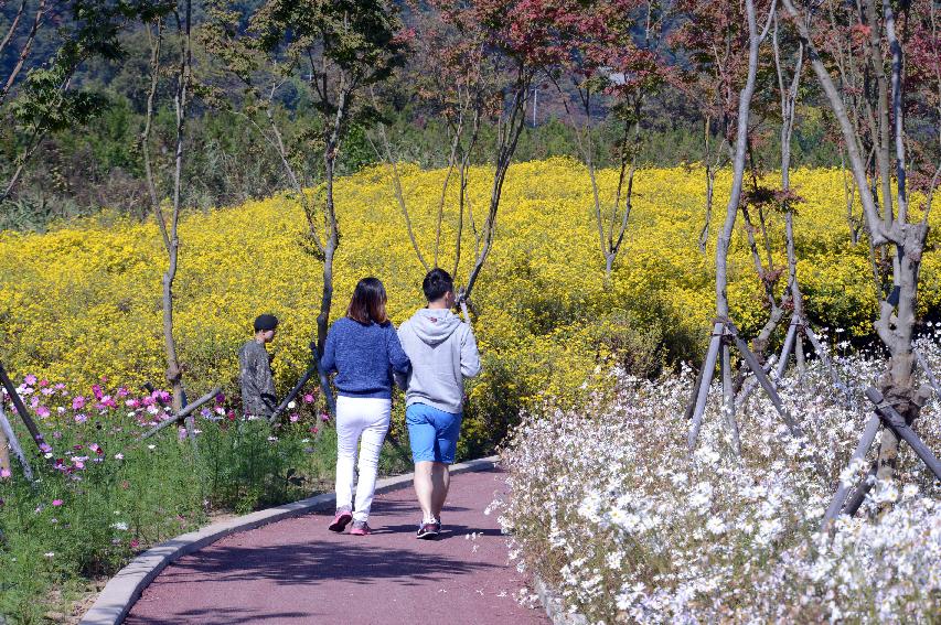 2014 하남면 거례리 수변공원 전경 의 사진