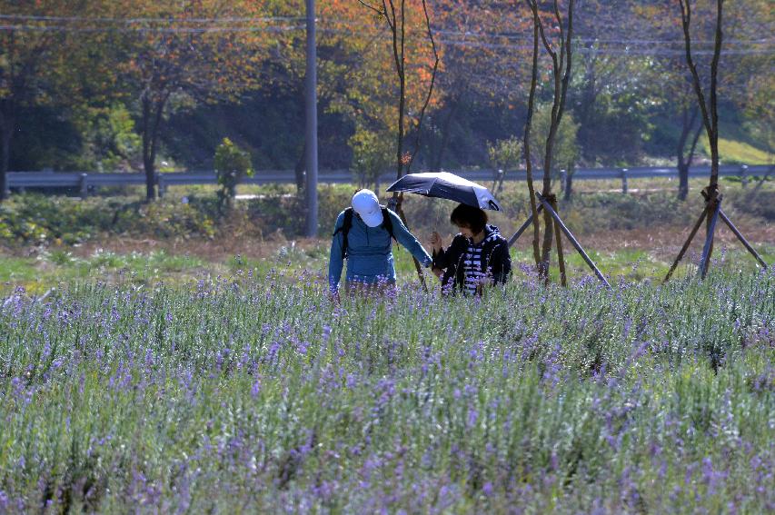 2014 하남면 거례리 수변공원 전경 의 사진