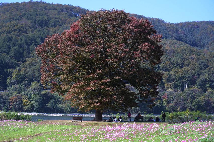 2014 하남면 거례리 수변공원 전경 의 사진