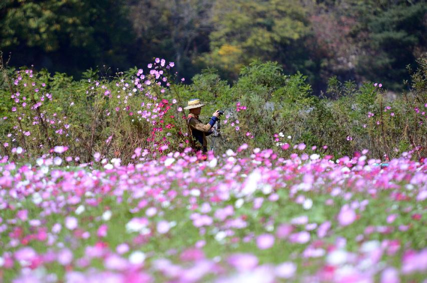 2014 하남면 거례리 수변공원 전경 의 사진