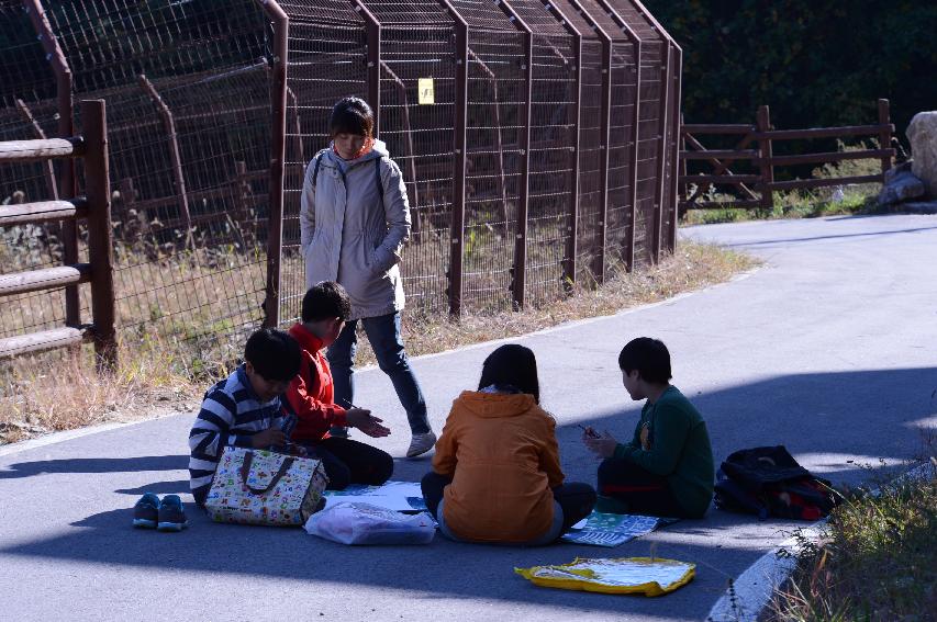 2014 한강생명살리기 문화제 백일장 및 사생대회 의 사진