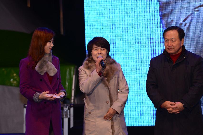2014 선등거리 점등식 의 사진