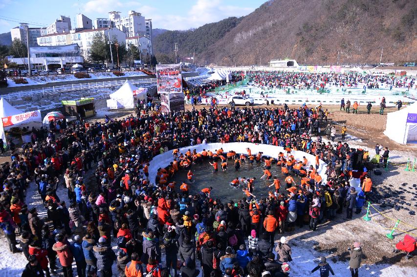 2015 얼음나라 화천산천어축제 산천어맨손잡기 사진