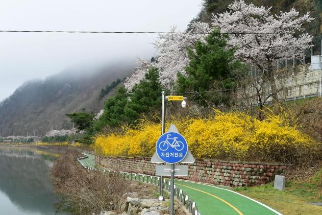 2021 강원도 화천군 화천읍 북한강 붕어섬 전경 의 사진