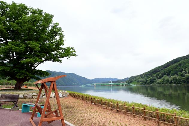 2021 화천군 하남면 거례리 사랑나무 전경 의 사진