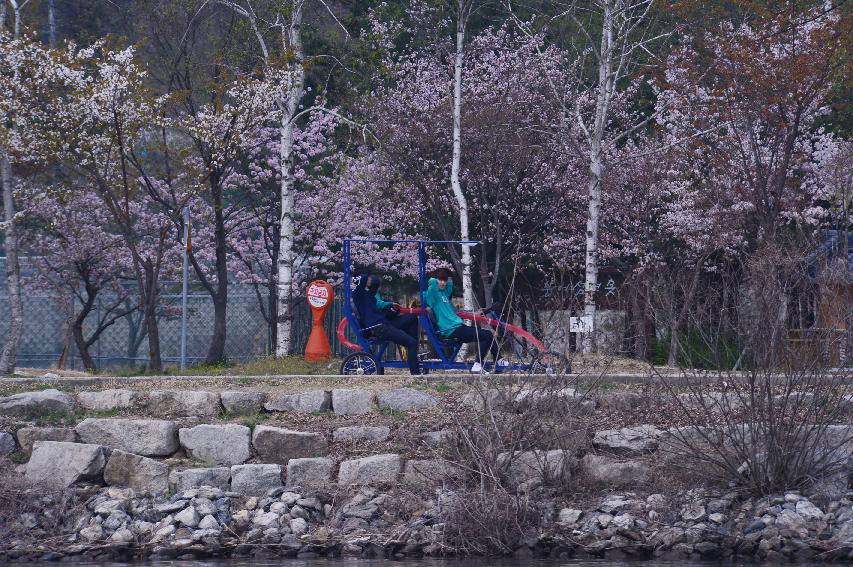 2014 사계절관광 에어링 화천 붕어섬 (하늘가르기,레일바이크,월엽편주,카약,2·3인승 자전거)  의 사진