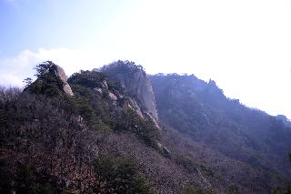 2015 자연(왜가리과,가마우지과,원앙새,용화산) 촬영 의 사진