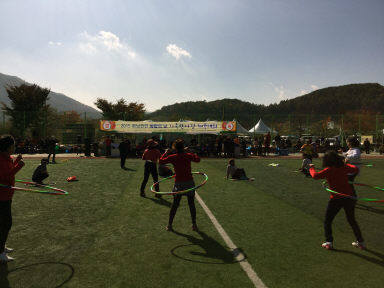 2015 하남면민 화합의 날 가족한마당 체육대회 의 사진