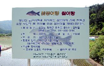 참붕어쌀 사진