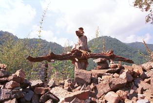 비목,평화의댐 의 사진
