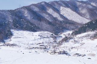 삼화리 설경 사진