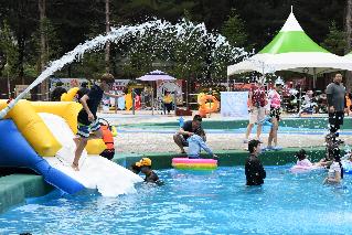 2017 물의나라화천 쪽배축제 봉어섬 전경 사진
