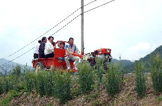 토고미마을 사진