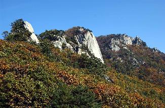 용화산 사진