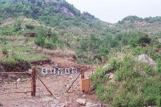 삼일리 방목장 사진