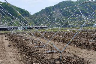 2013 과수나무 지지대 설치 현장 사진