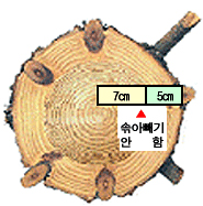 7cm 5cm 솎아빼기 안함을 보여주는 이미지